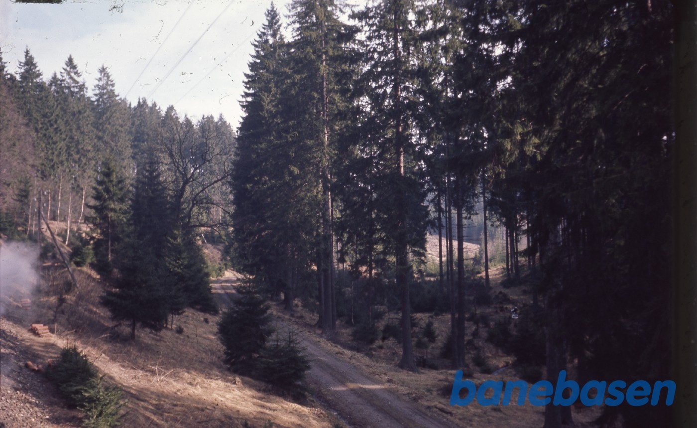 Undervejs fra Eisfelder Talmühle til Hasselfelde Undervejs fra Eisfelder Talmühle til Hasselfelde
