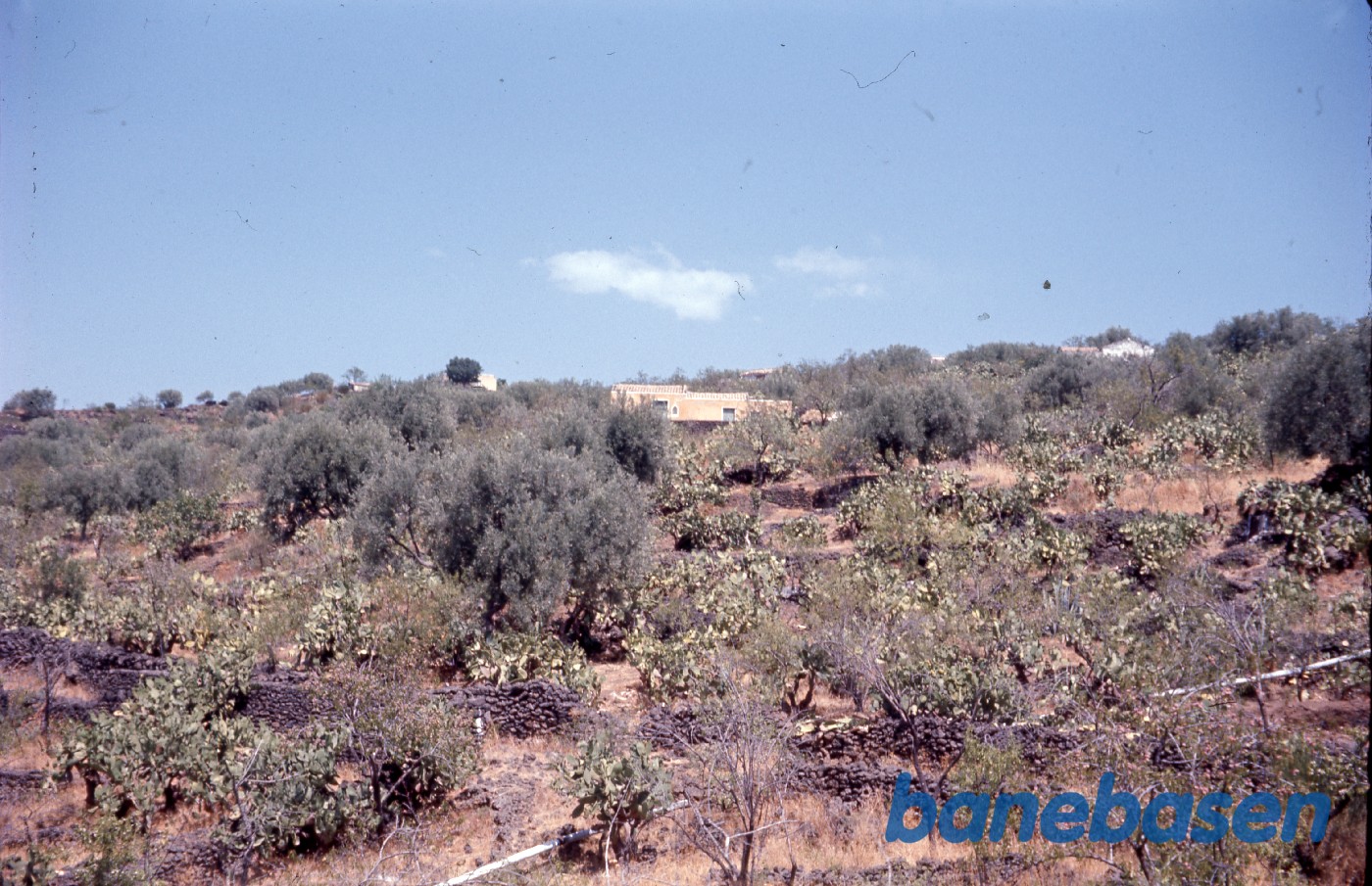 Udsigten fra FCE-toget Udsigten fra FCE-toget