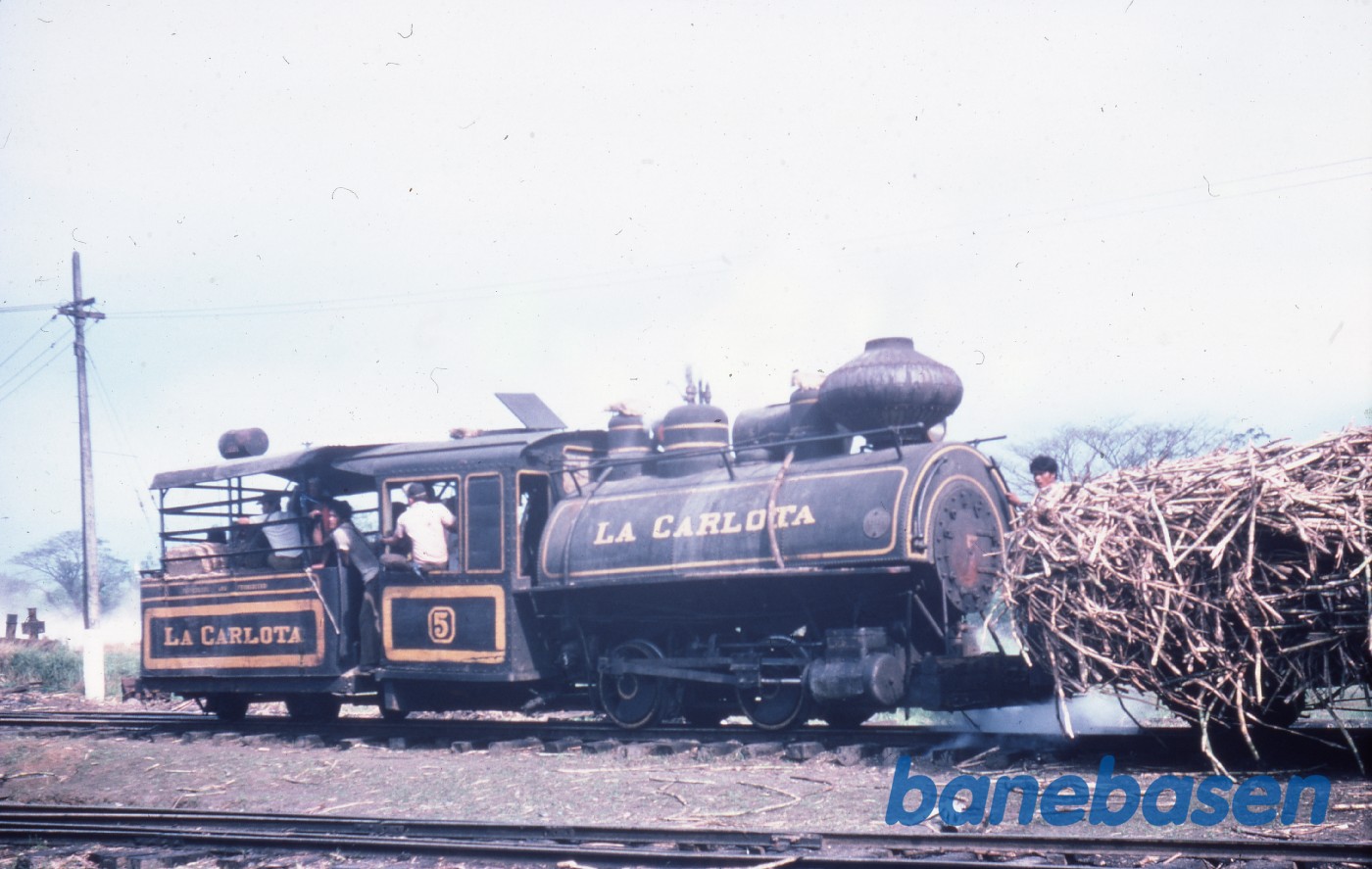 Et godstog med sukkerrør Et godstog med sukkerrør