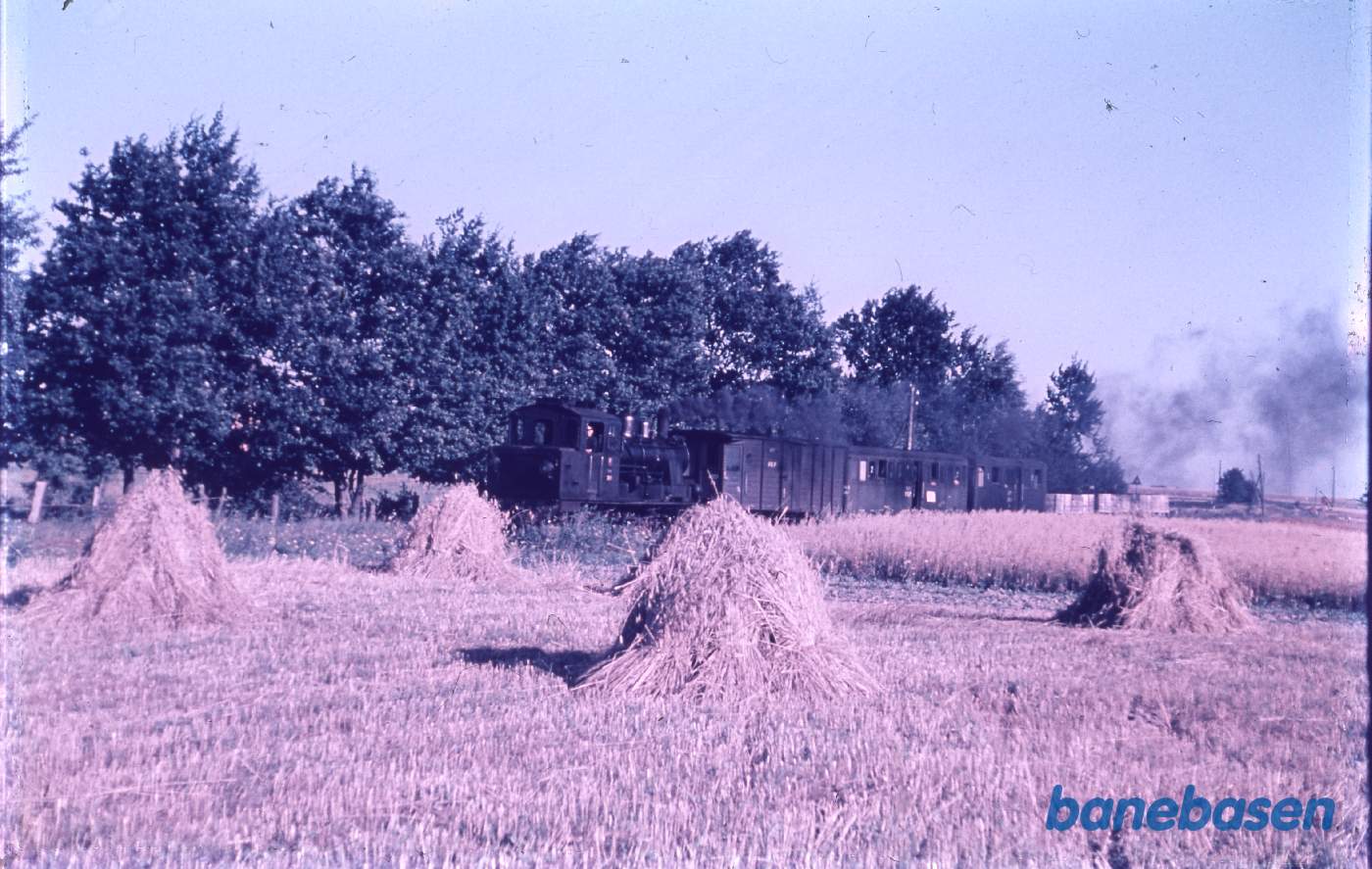 Damptoget kører langs markerne