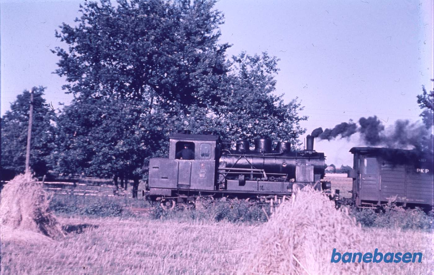 Damptoget kører langs markerne