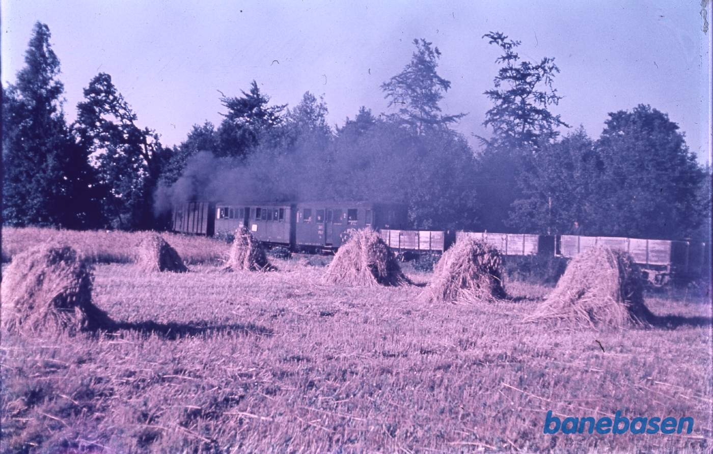 Damptoget kører langs markerne