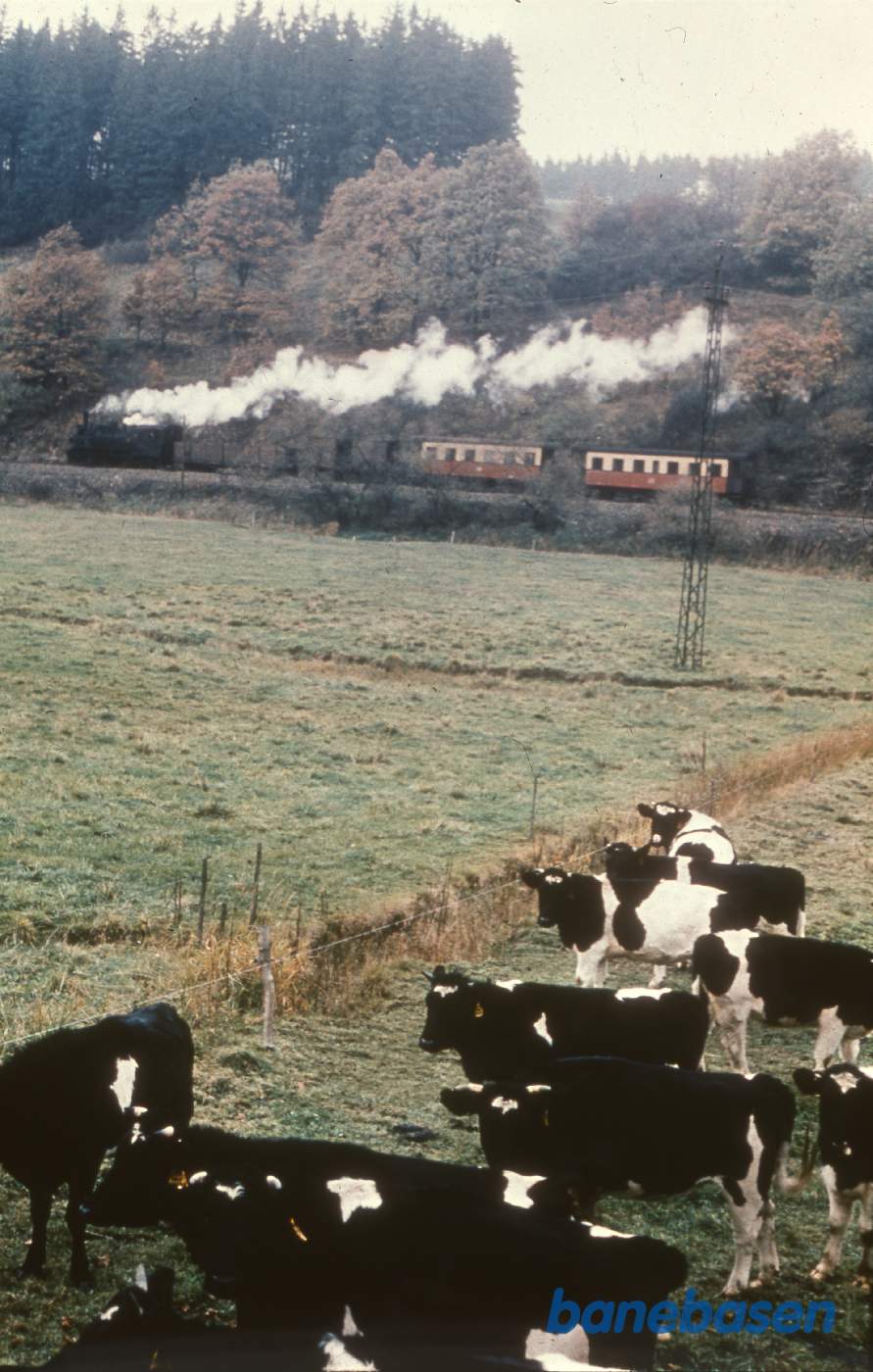 Tog på vej mellem Strassberg og Alexisbad