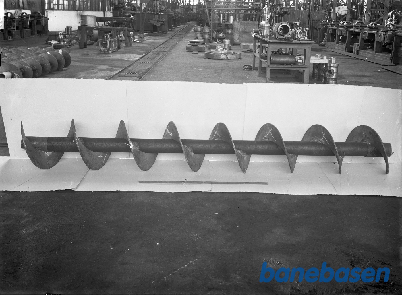 Transportsnegle Transportsnegle