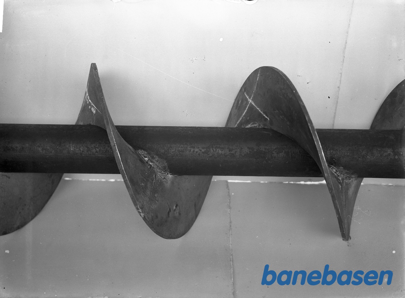 Transportsnegle Transportsnegle