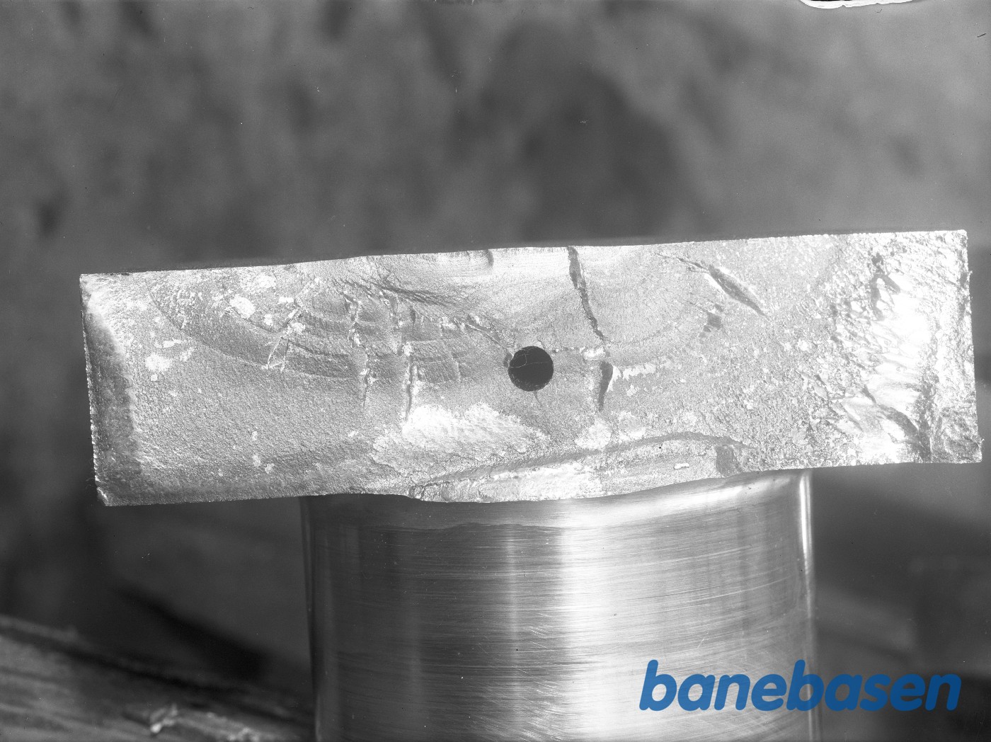 Krumtapbrud Krumtapbrud