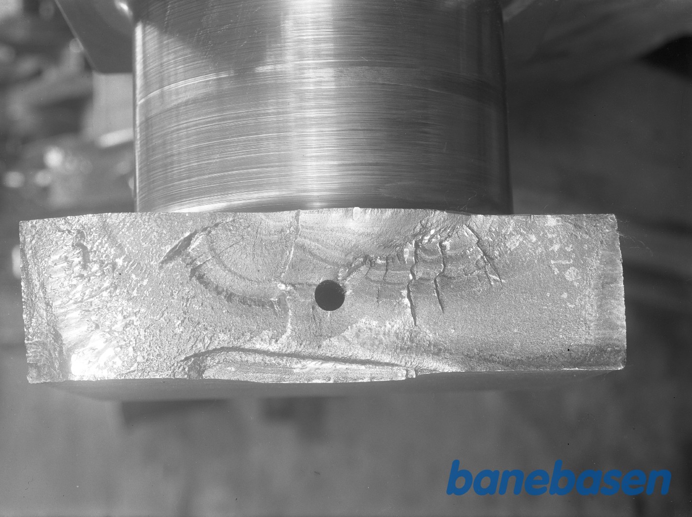 Krumtapbrud Krumtapbrud