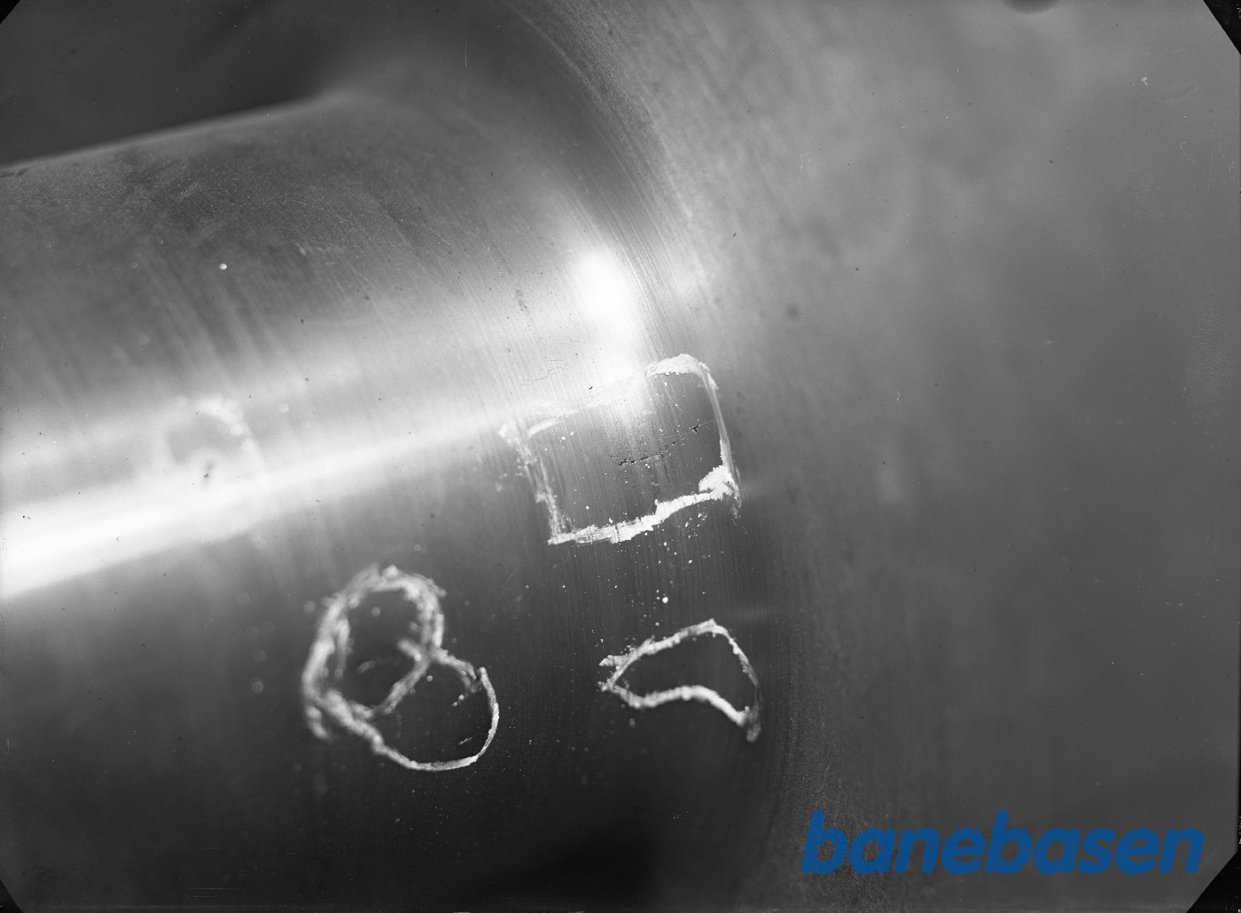 Revne i søle Revne i søle