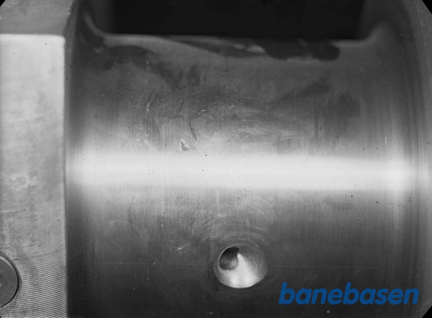 Revne i søle Revne i søle