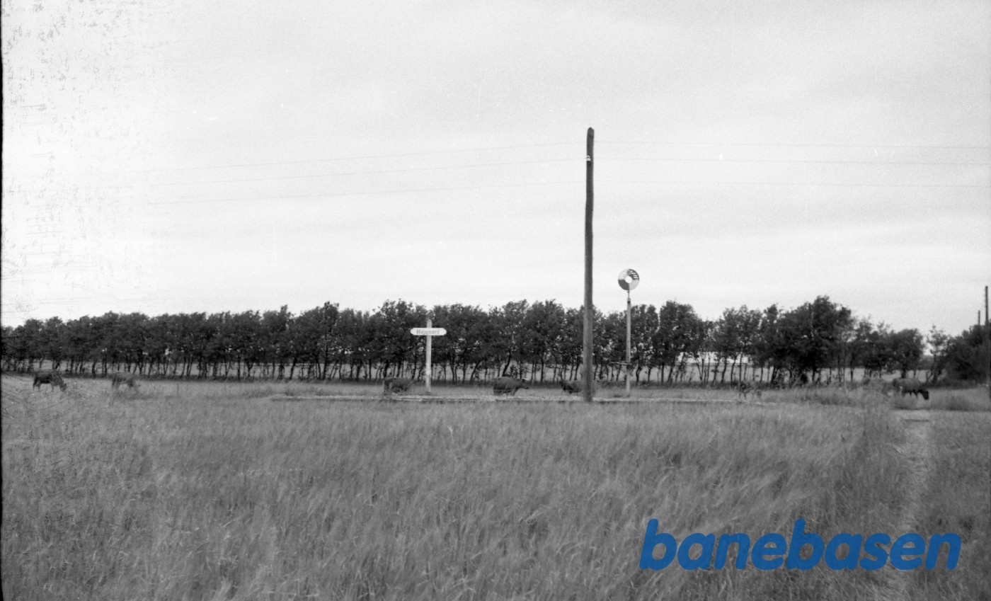 Højgaard Trb. Højgaard Trb.