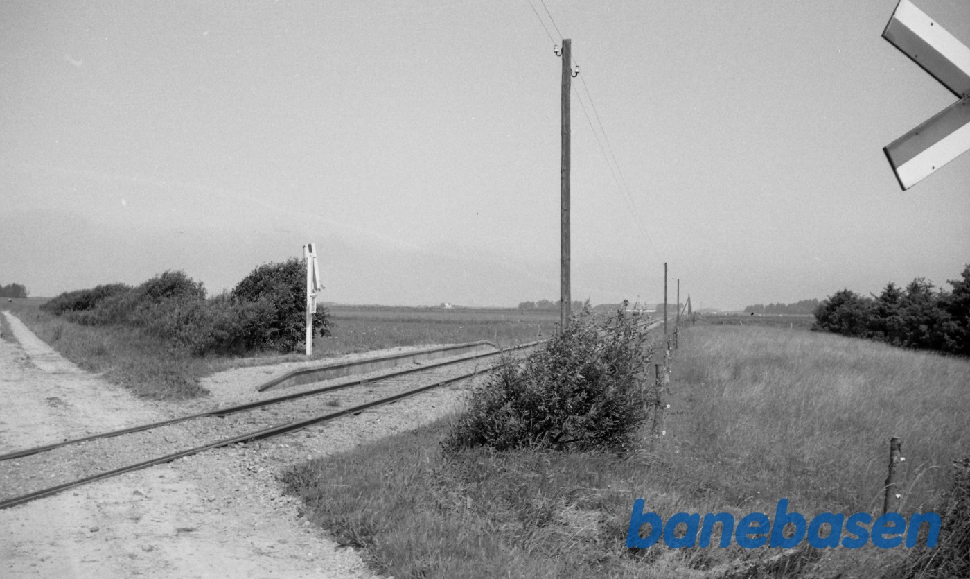 Nørre Rubjerg trinbræt Nørre Rubjerg trinbræt