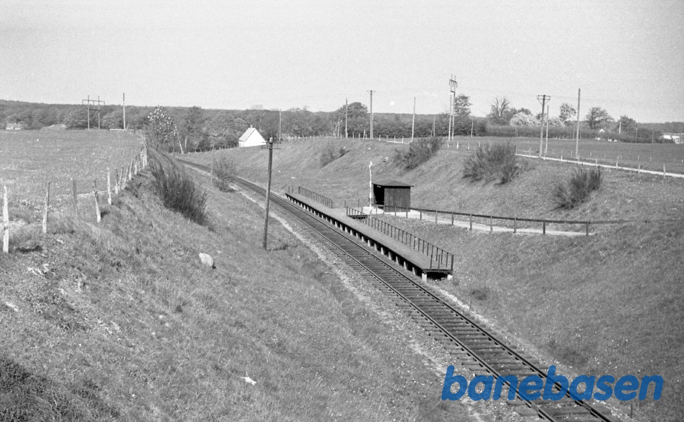 Hestehave Trinbræt Hestehave Trinbræt