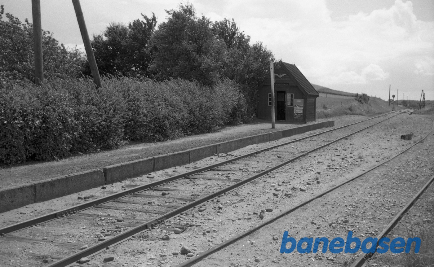 Snaremose Trinbræt Snaremose Trinbræt