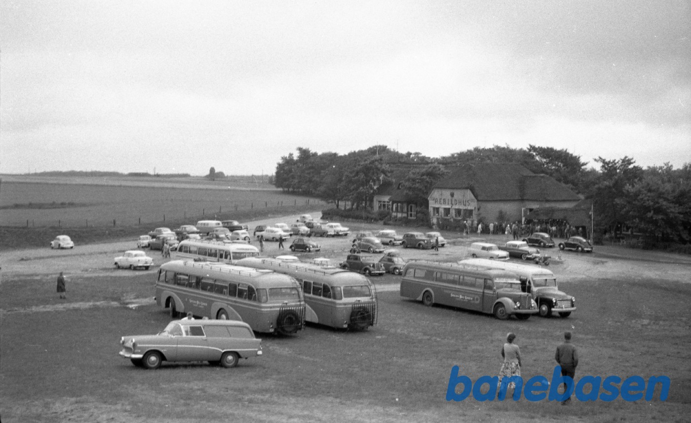 Busser ved Rebildhus Busser ved Rebildhus