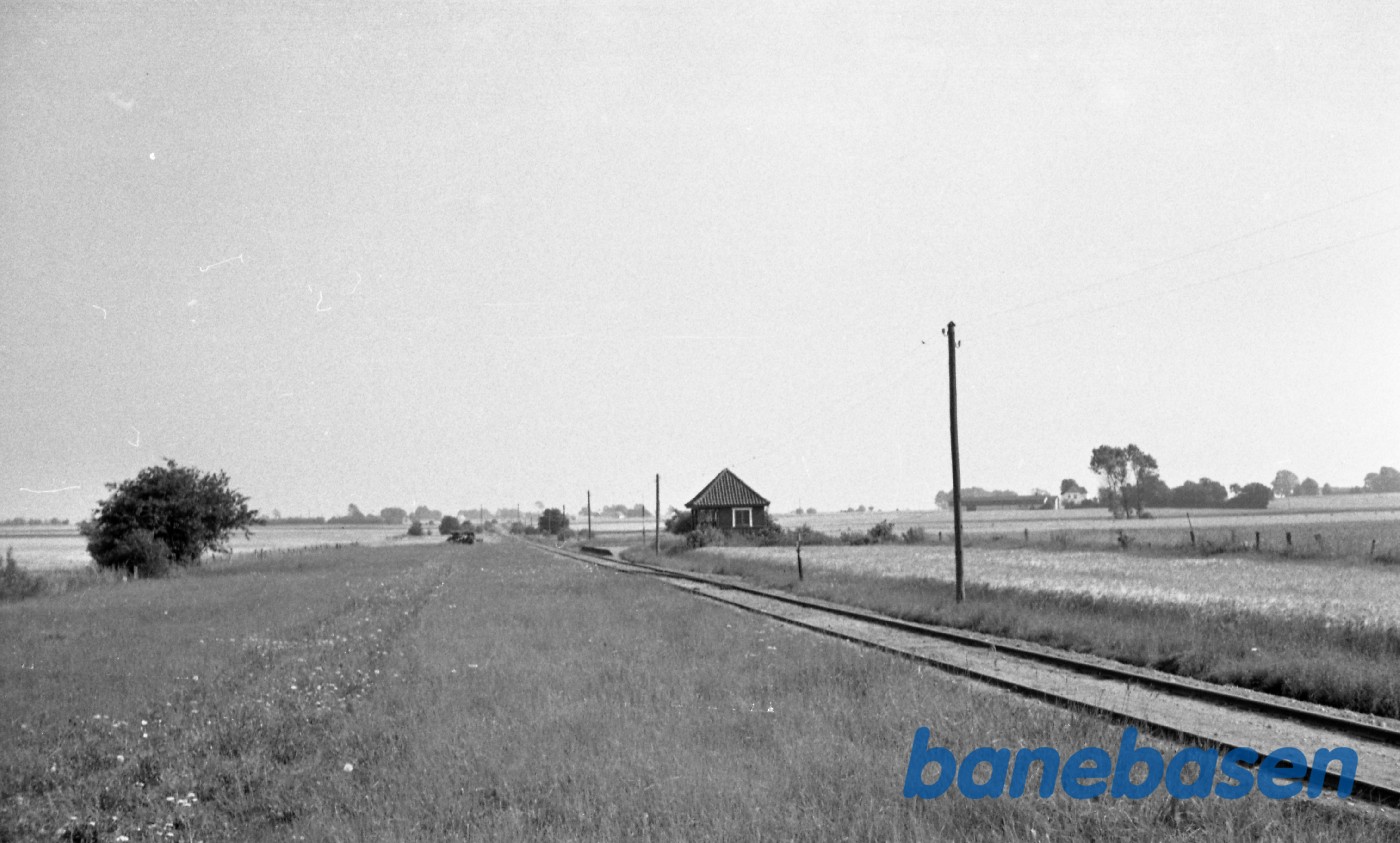 Haugbyrd Trinbræt Haugbyrd Trinbræt