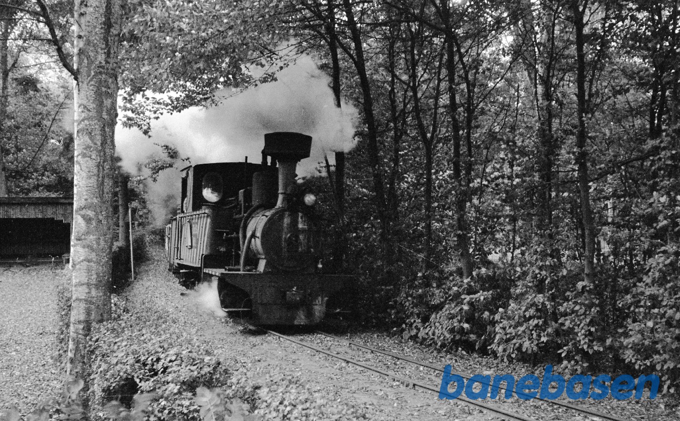 Assens sukkerfabrik Assens sukkerfabrik