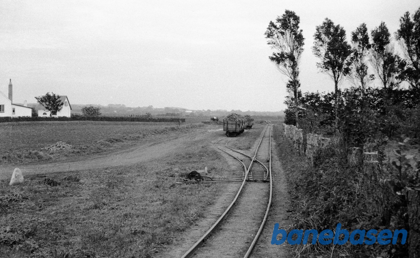 Assens sukkerfabrik Assens sukkerfabrik