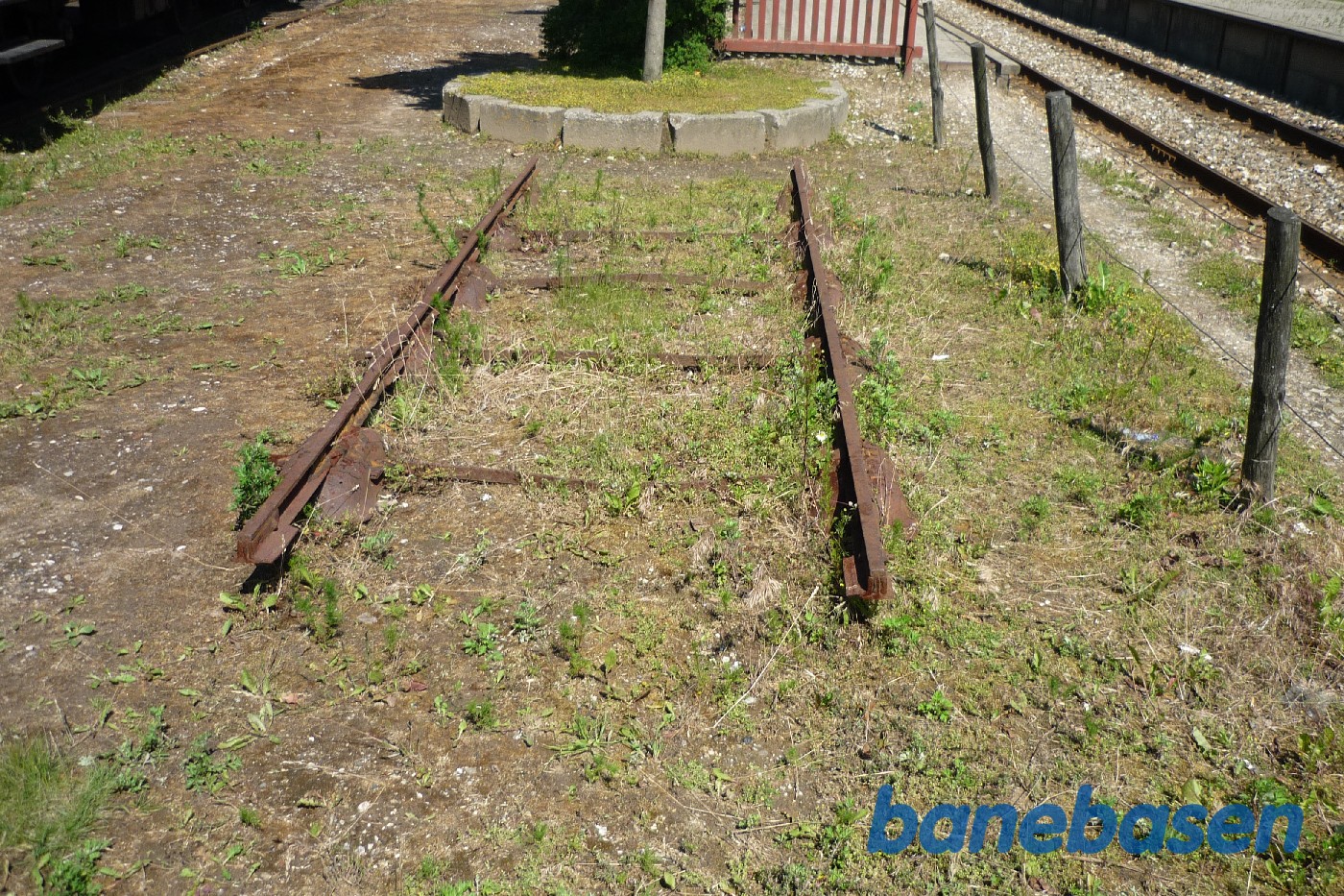 Græsted veterantræf. Grydespor stump Græsted veterantræf. Grydespor stump