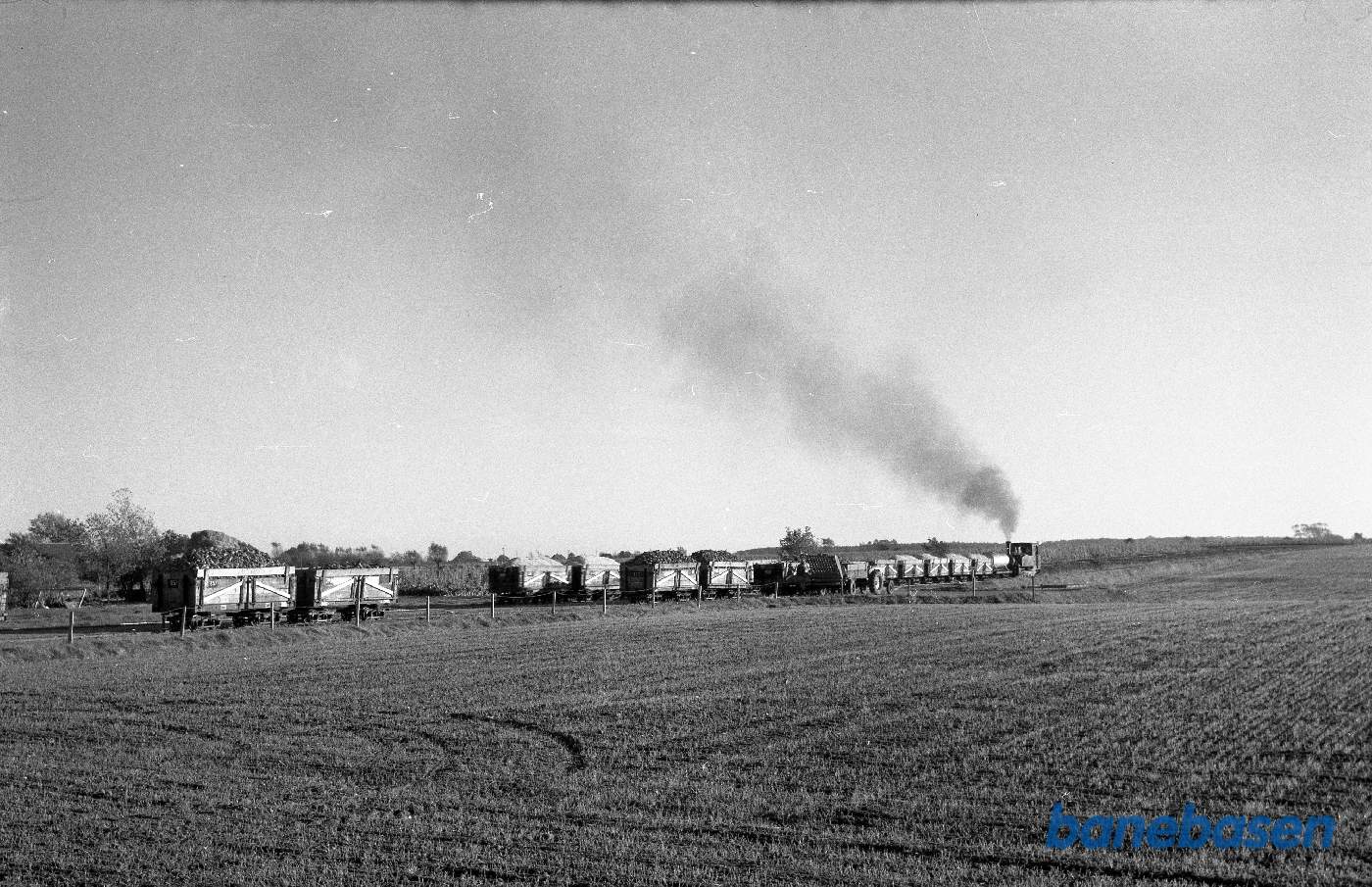 Damplokomotiv B 2 "Lange Maren" rangerer på læsseplads Damplokomotiv B 2 "Lange Maren" rangerer på læsseplads