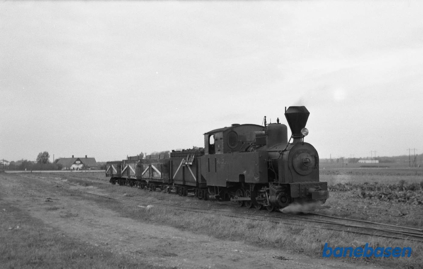 Damplokomotiv No. 2 med tog på strækningen