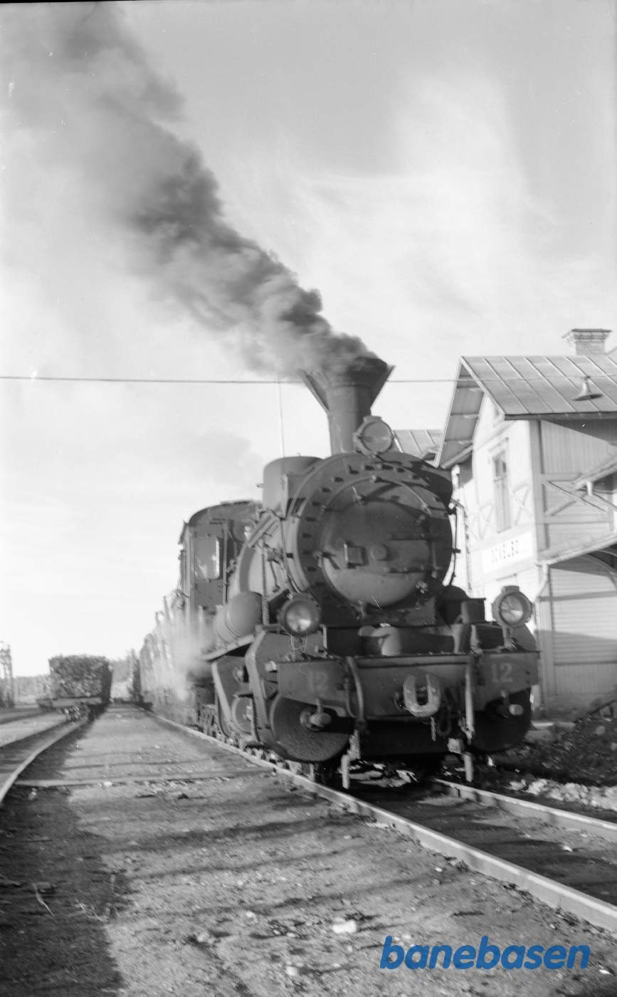 Damplokomotiv nr. 12 med godstog