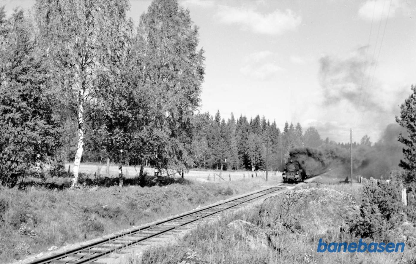 Damplokomotiv nr. 12 med godstog