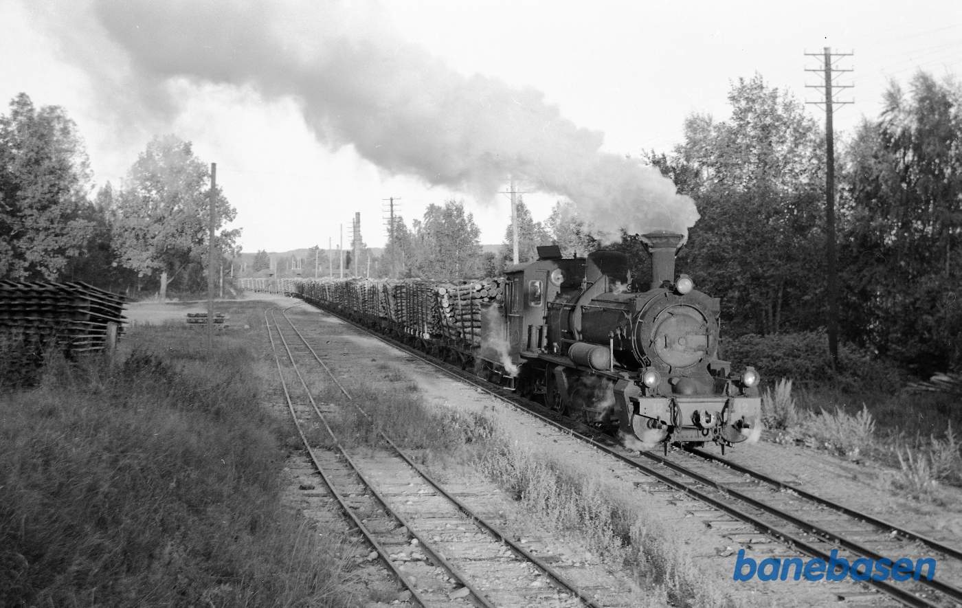 Damplokomotiv nr. 12 med godstog