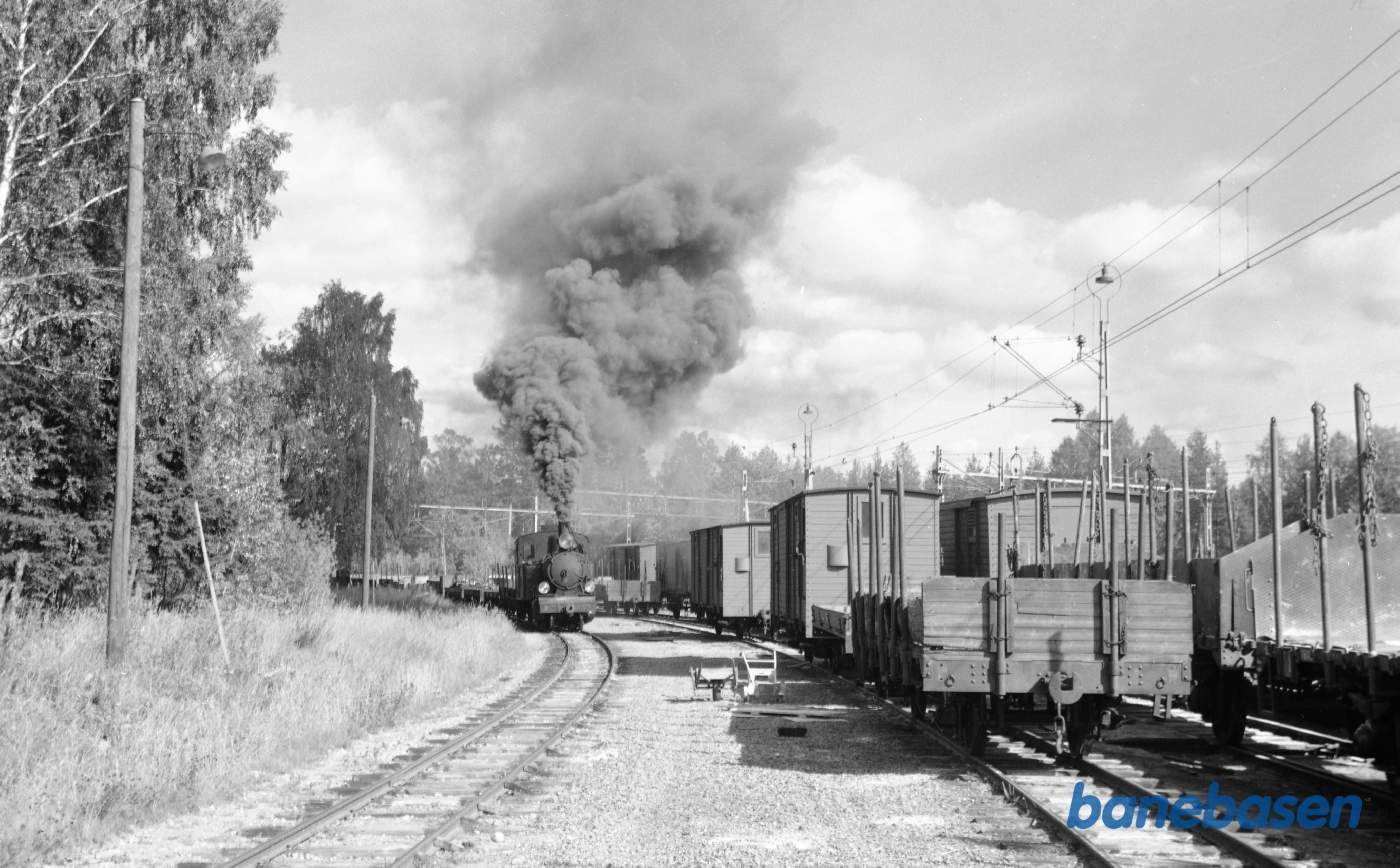 Damplokomotiv nr. 6 med godstog