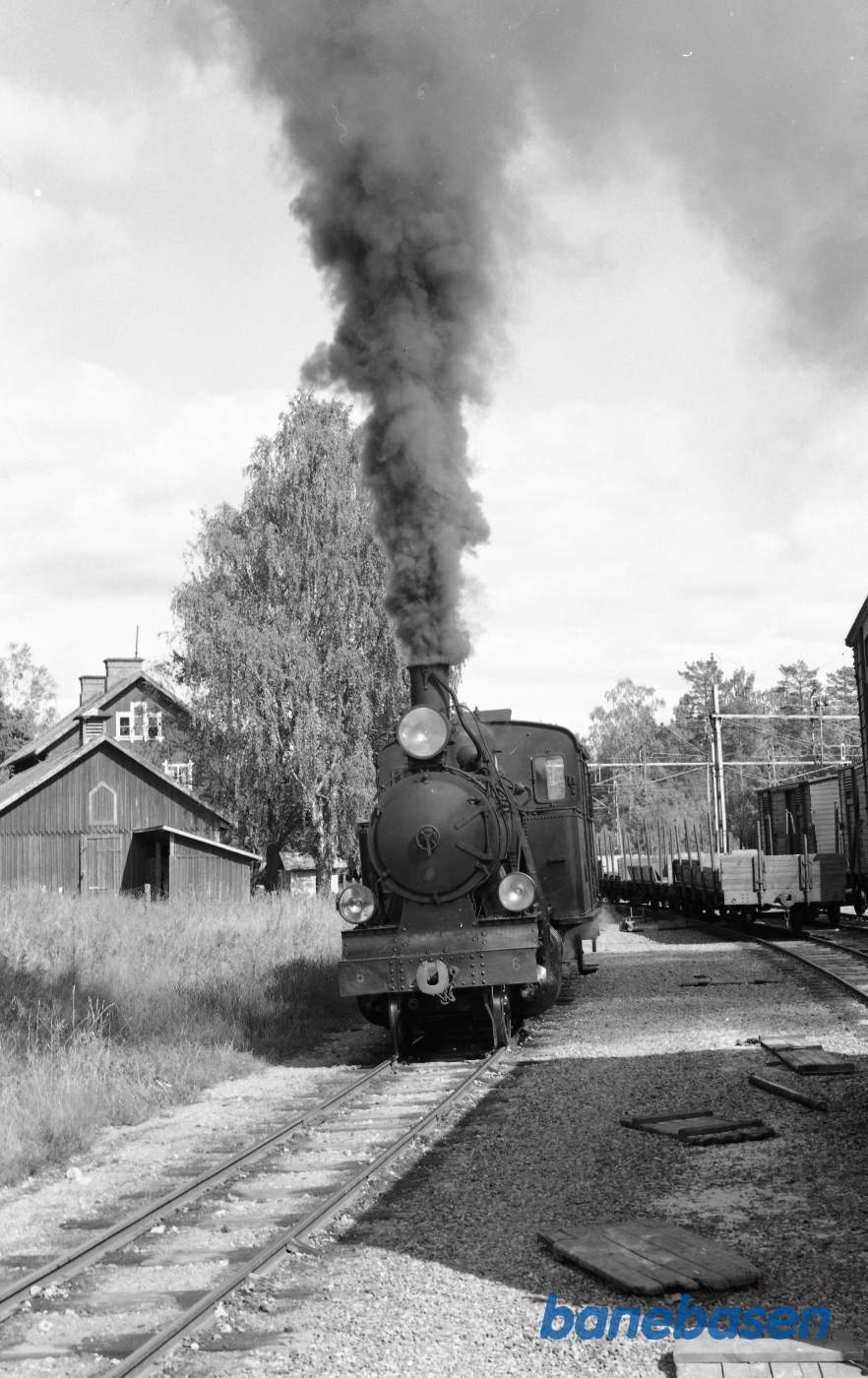 Damplokomotiv nr. 6 med godstog