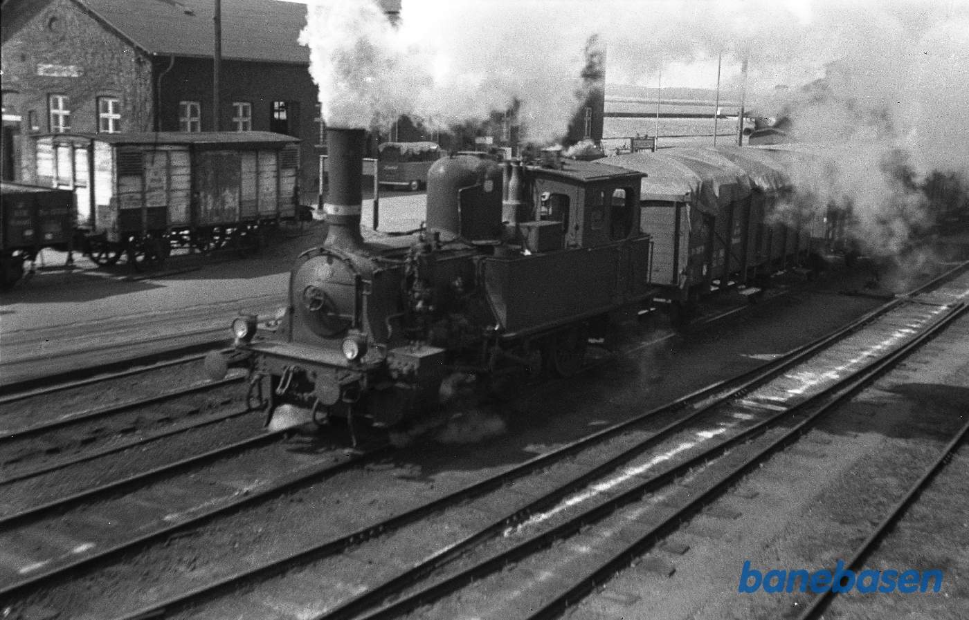 Damplokomotiv F 460 rangerer i Kalundborg