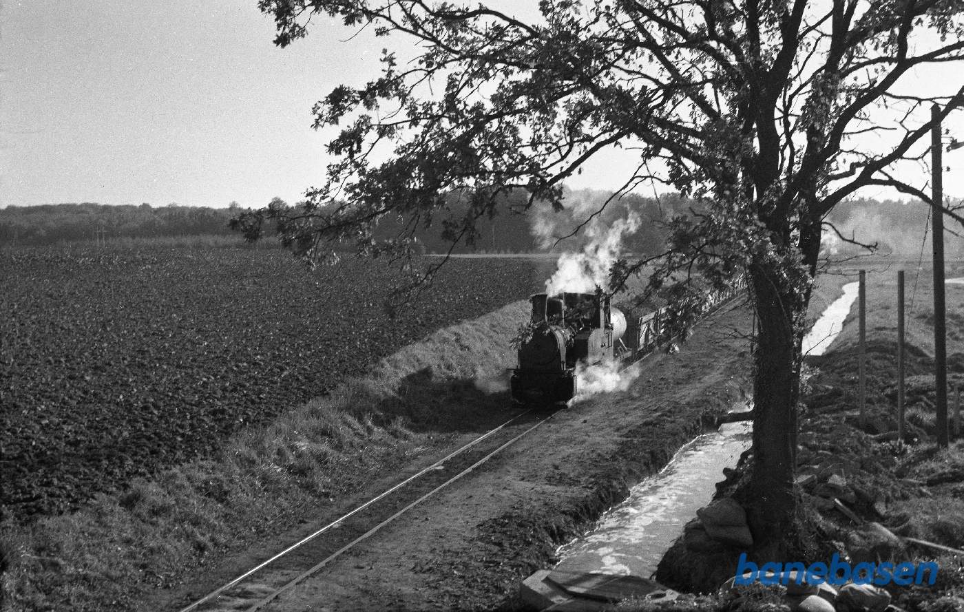 Roetog fra syd kort før passage under Lollandsbanen Roetog fra syd kort før passage under Lollandsbanen