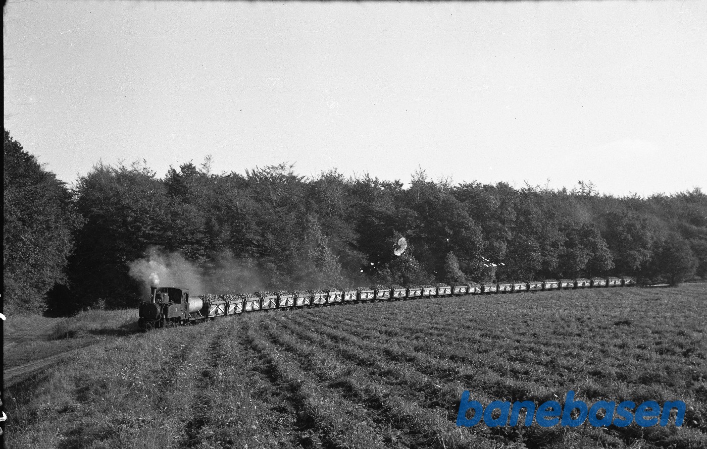 Damplokomotiv B 2 med stort roetog Damplokomotiv B 2 med stort roetog