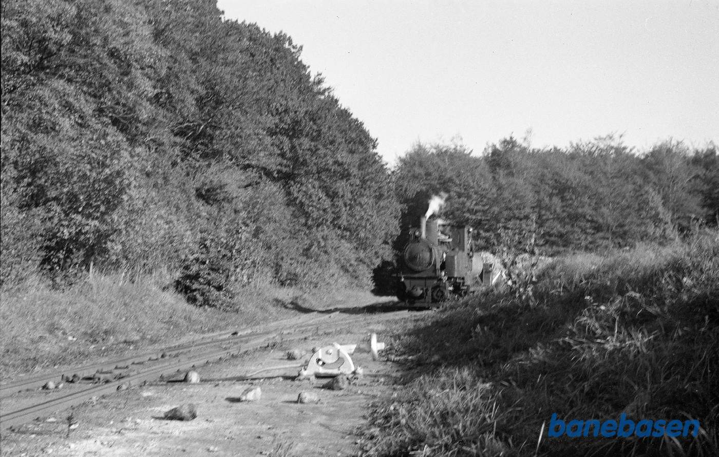 Damplokomotiv med roetog under indkørsel fra syd Damplokomotiv med roetog under indkørsel fra syd