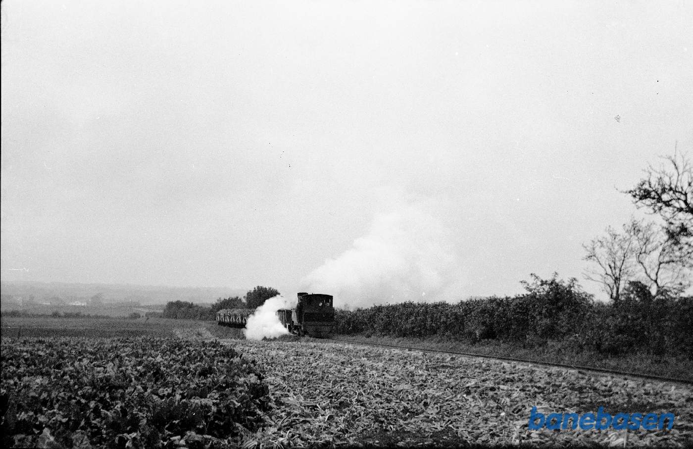 Damplokomotiv med læsset tog på vej op ad stigning