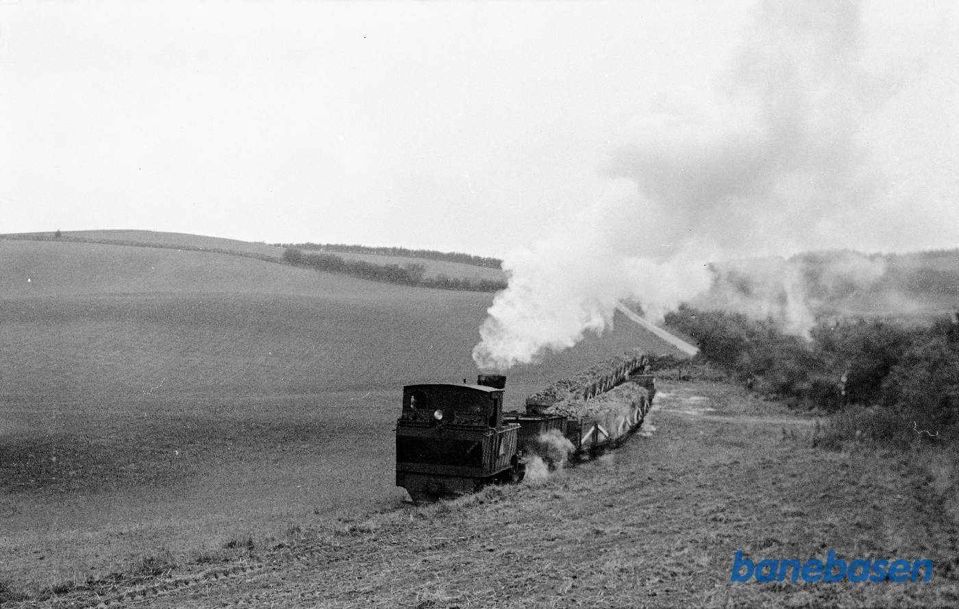 Damplokomotiv nr. 8 rangerer ved læsseplads
