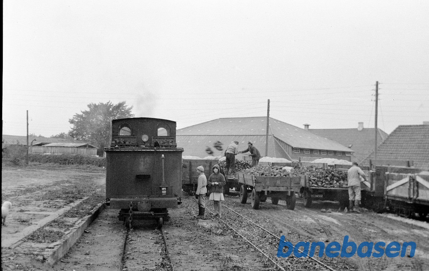 Damplokomotiv 8 og læsning af roevogne Damplokomotiv 8 og læsning af roevogne