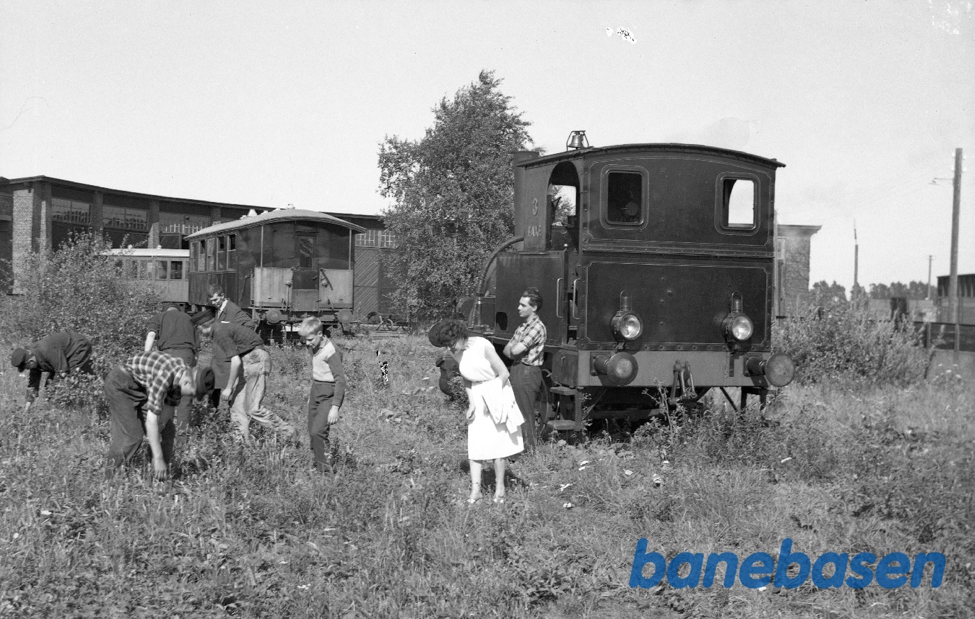 Der plukkes jordbær Der plukkes jordbær