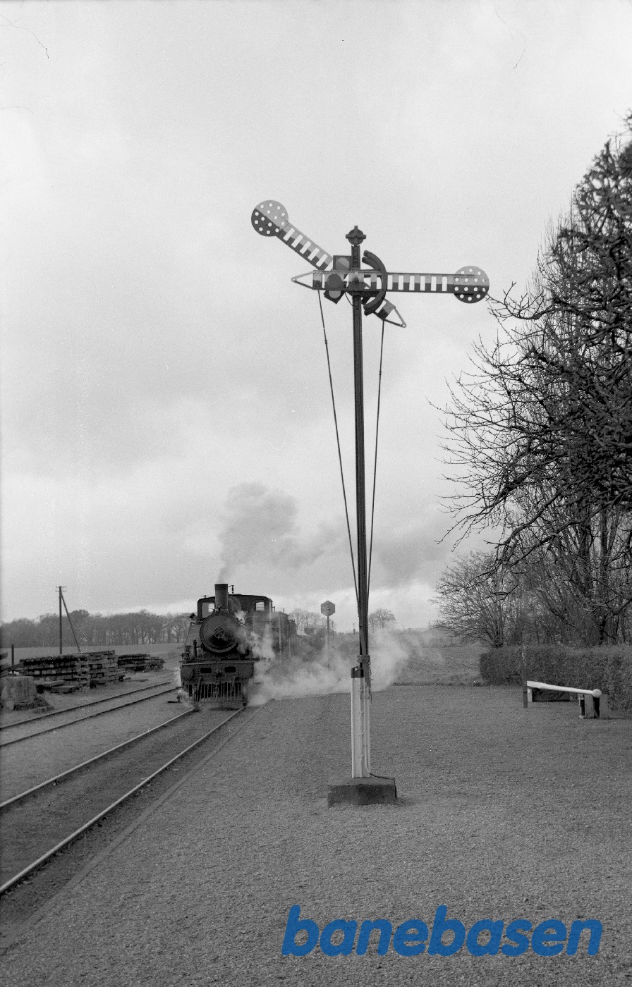 Damplokomotiv nr. 14 rangerer med roevogne Damplokomotiv nr. 14 rangerer med roevogne