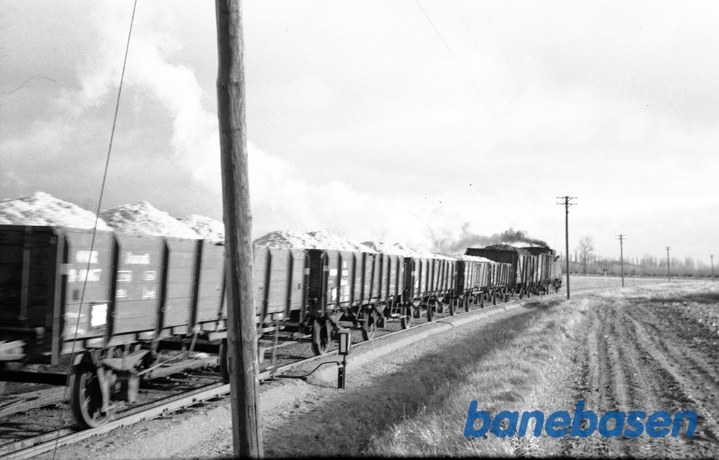 Damplokomotiv nr. 14 rangerer med roevogne Damplokomotiv nr. 14 rangerer med roevogne
