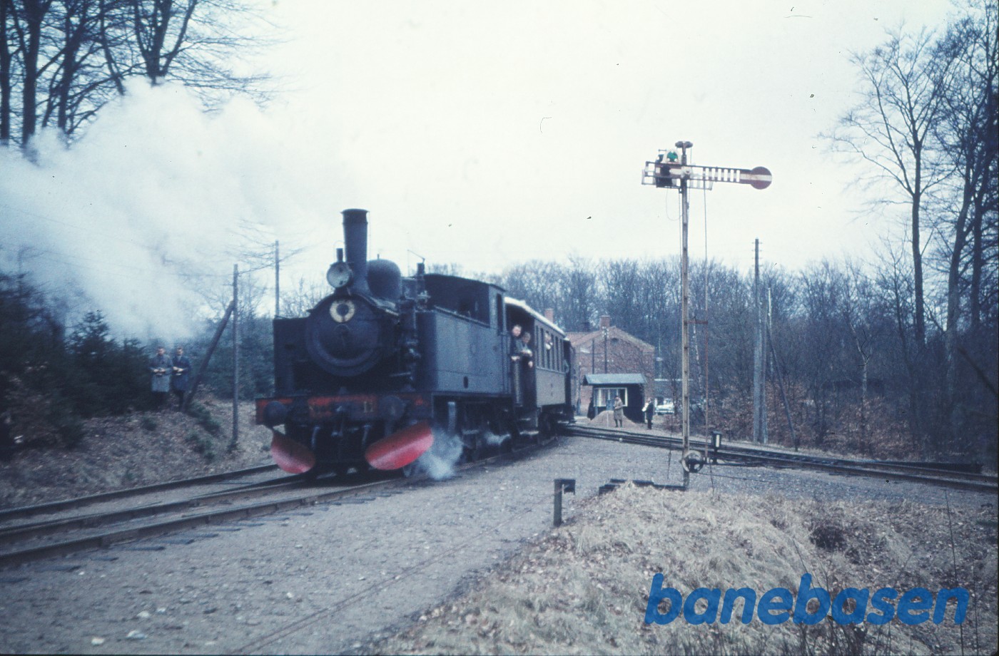 Damplokomotiv nr. 11 med udflugtstog for DJK Damplokomotiv nr. 11 med udflugtstog for DJK