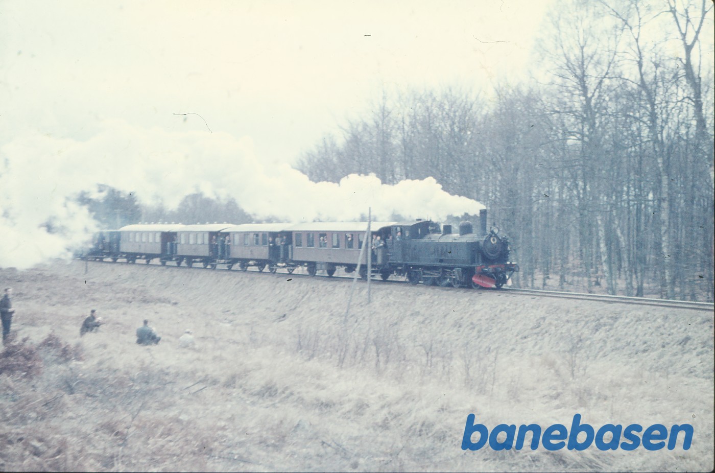 Damplokomotiv nr. 11 med udflugtstog for DJK Damplokomotiv nr. 11 med udflugtstog for DJK