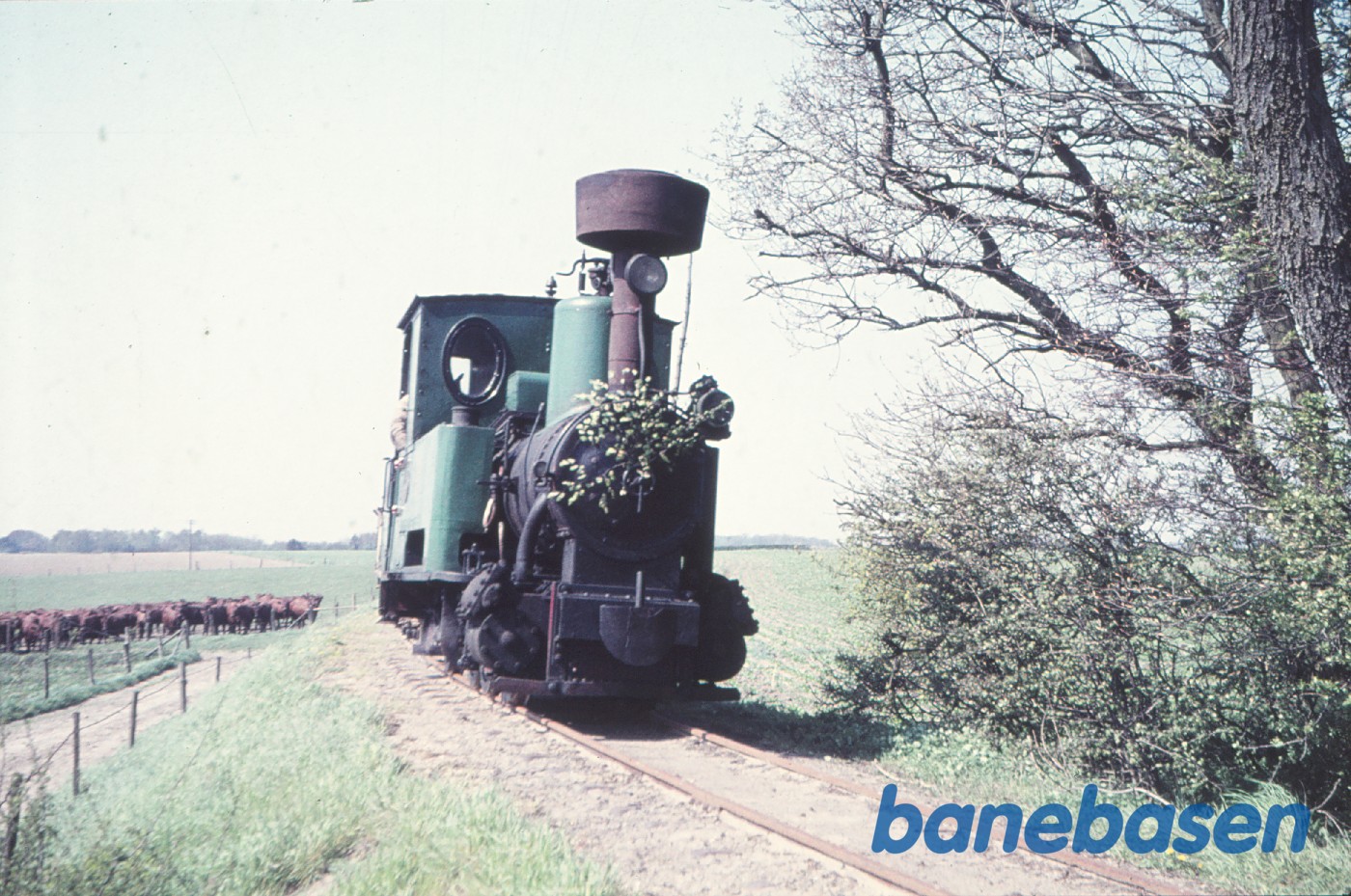 Damplokomotiv B 3 + roevogn 3737, købt af Jørgen Hammer og kørt fra Holeby til Sakskøbing Damplokomotiv B 3 + roevogn 3737, købt af Jørgen Hammer og kørt fra Holeby til Sakskøbing