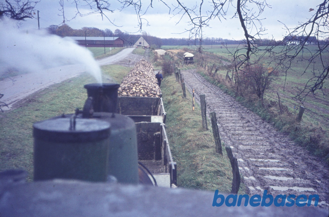 Rangering med roetog et sted på linjen, syd for Sakskøbing Rangering med roetog et sted på linjen, syd for Sakskøbing