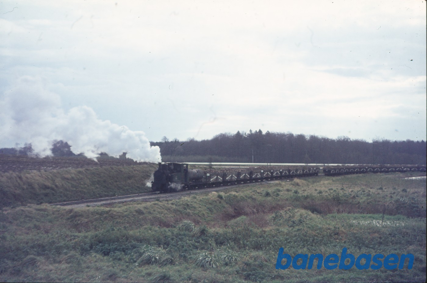 Damplokomotiv B 3 med roetog på vej til fabrikken ved slambassinerne Damplokomotiv B 3 med roetog på vej til fabrikken ved slambassinerne