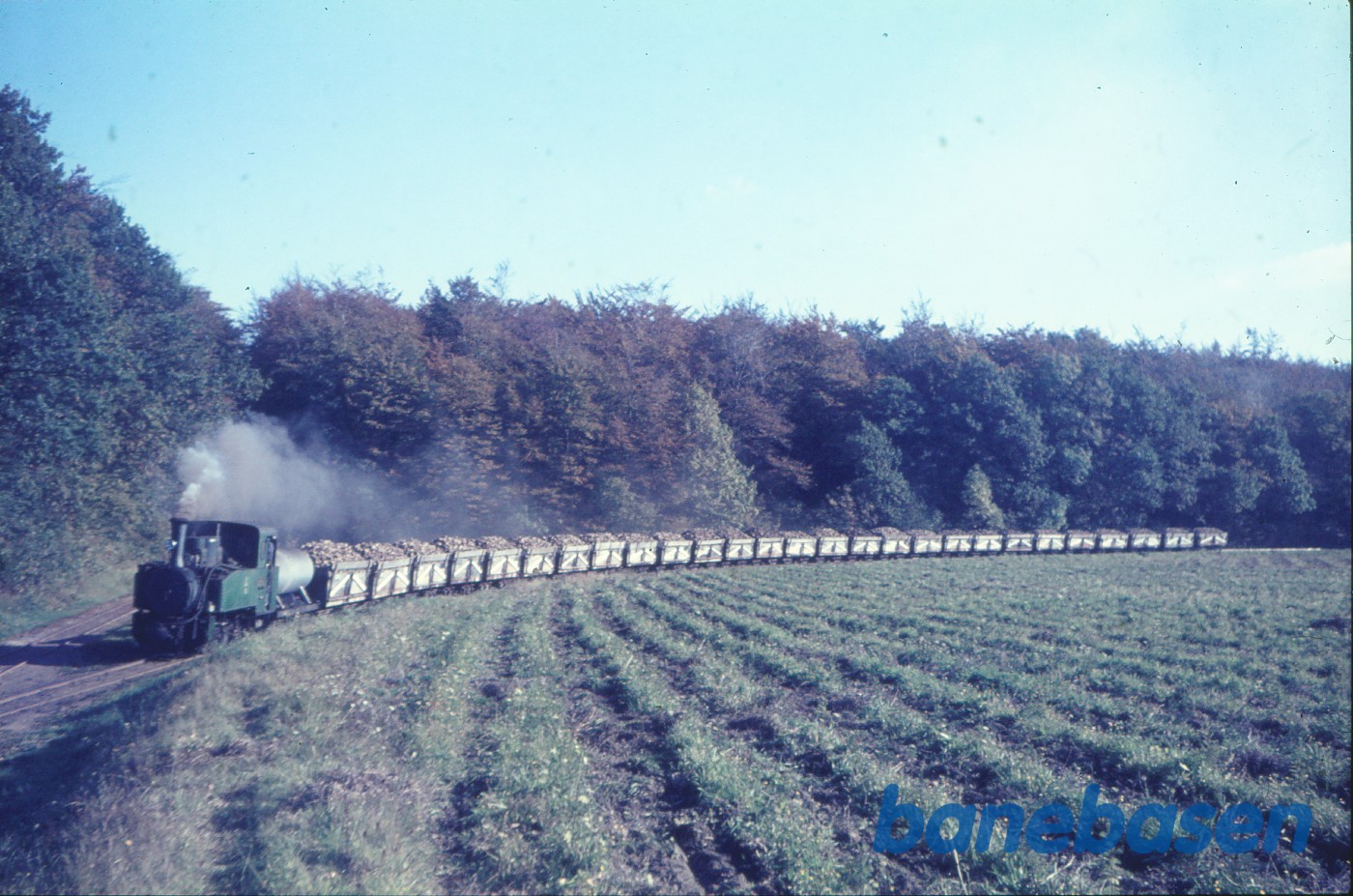 Damplokomotiv B 2 med roetog til fabrikken Damplokomotiv B 2 med roetog til fabrikken