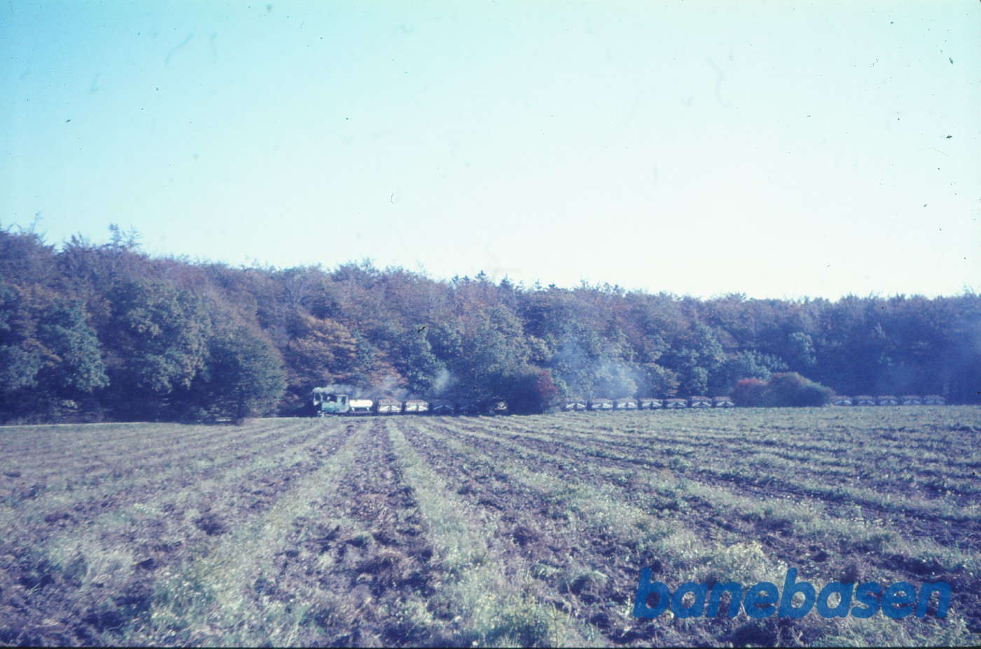 Roetog på vej til fabrikken Roetog på vej til fabrikken