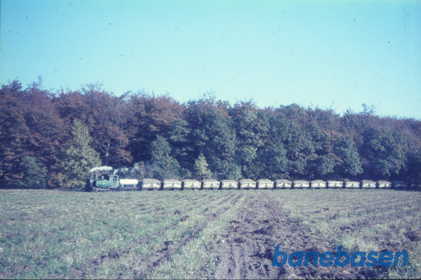 Roetog på vej til fabrikken Roetog på vej til fabrikken
