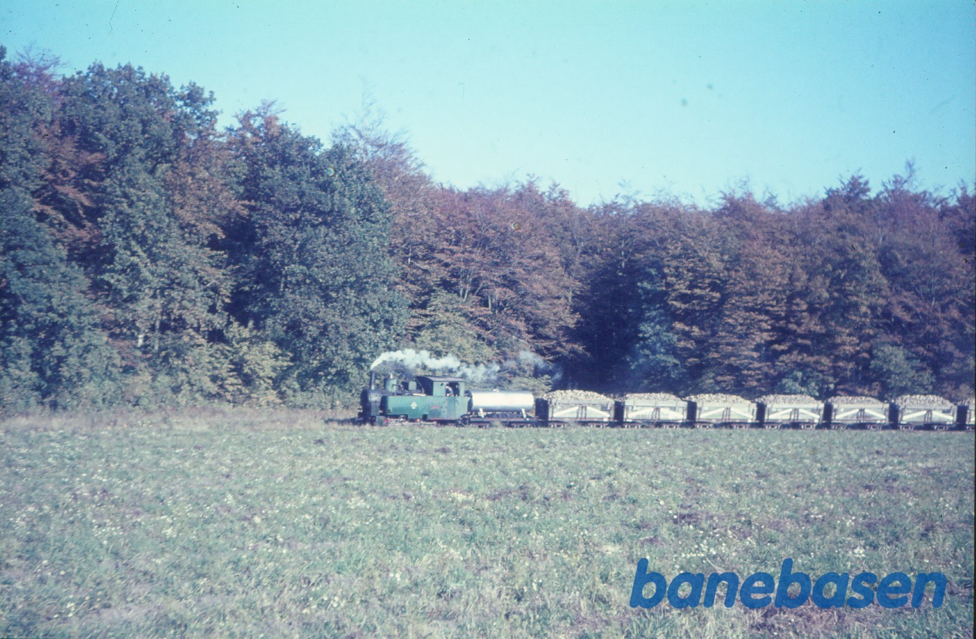 Roetog på vej til fabrikken Roetog på vej til fabrikken