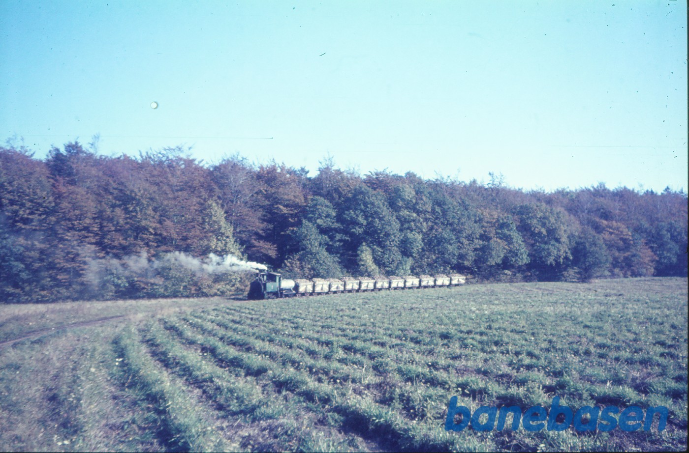 Roetog på vej til fabrikken Roetog på vej til fabrikken