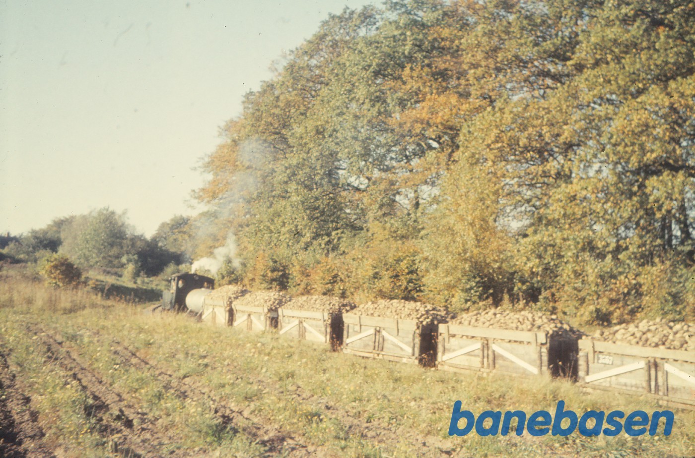 damplokomotiv Da 4 med roetog på vej til fabrikken damplokomotiv Da 4 med roetog på vej til fabrikken